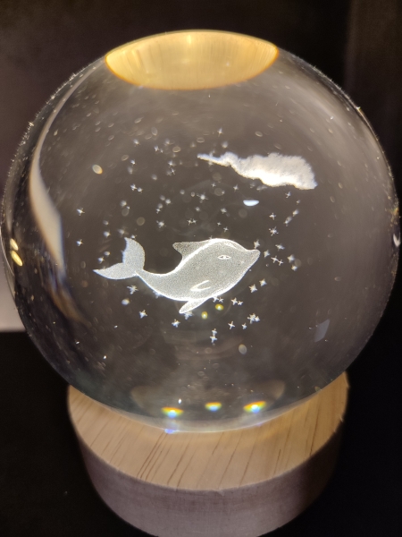 Hologram ball - Dolphin